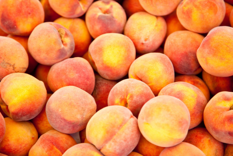 November Impact Stories: Empowering Health and Dignity with Peach Corps Inc.